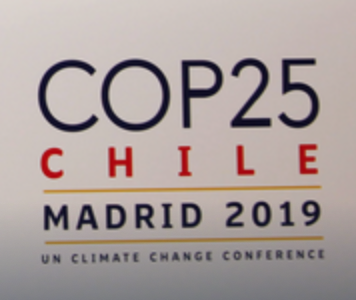 Material oficial da COP 25 está na Internet