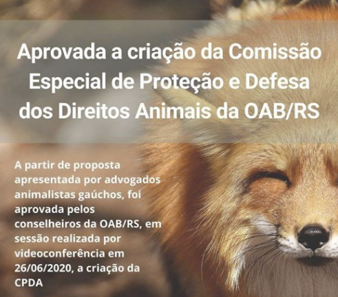 OAB/RS aprova criação de Comissão Especial de Proteção e Defesa dos Direitos dos Animais