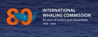 Logotipo da Comissão Baleeira Internacional (IWC) celebrando 80 anos de ciência e manejo, 1946-2026
